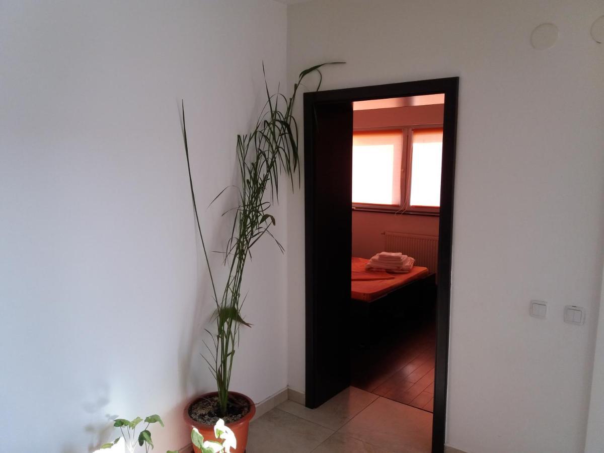 Apartament Kamino Năvodari Exterior foto